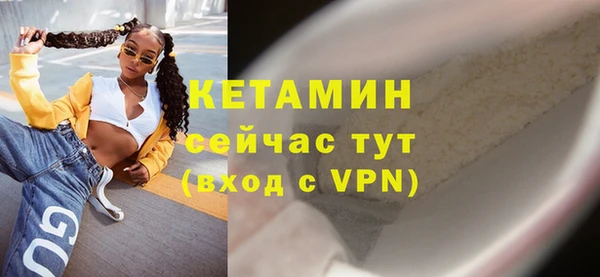 амф Гусев