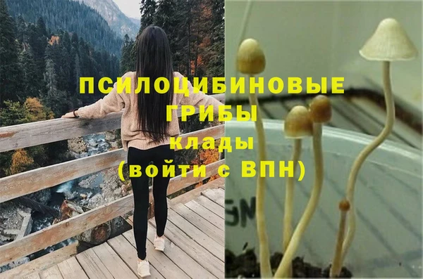 амфетамин Дмитриев