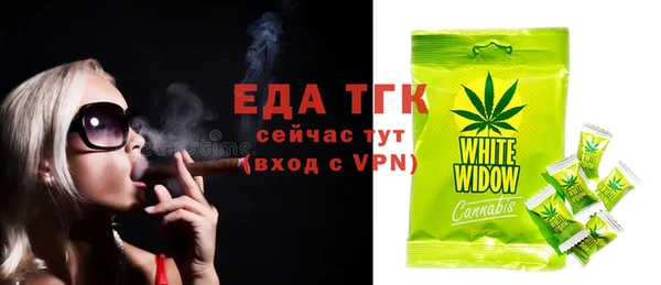 амф Гусев