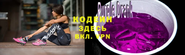 амф Гусев