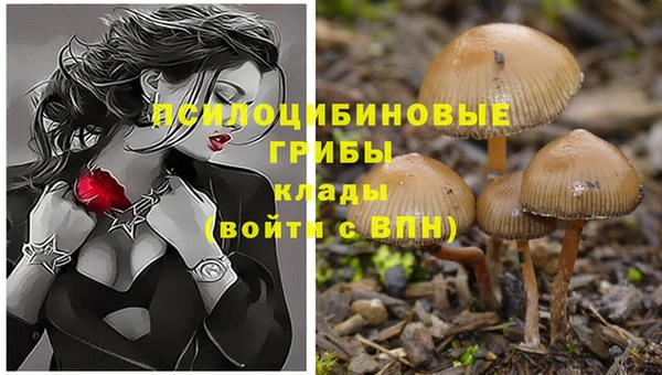 трава Гусь-Хрустальный