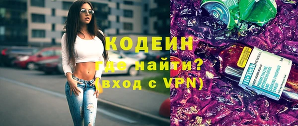 амф Гусев