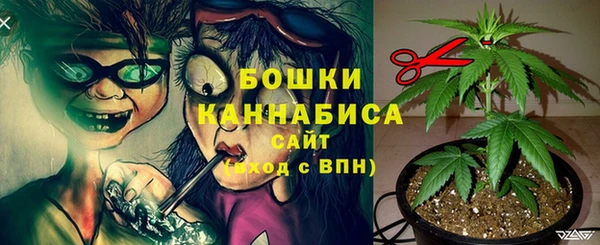 MDMA Premium VHQ Гусиноозёрск