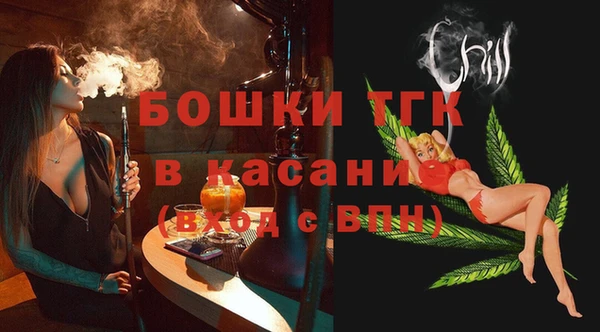амф Гусев