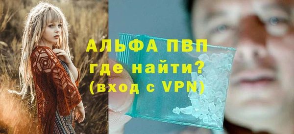 амф Гусев