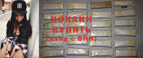 амф Гусев