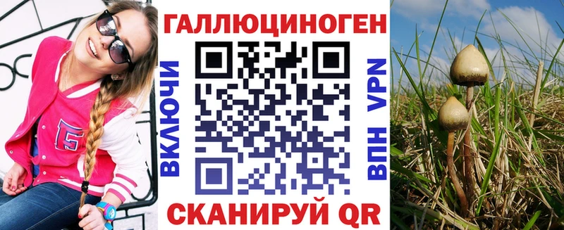 Псилоцибиновые грибы Psilocybe  Цоци-Юрт 